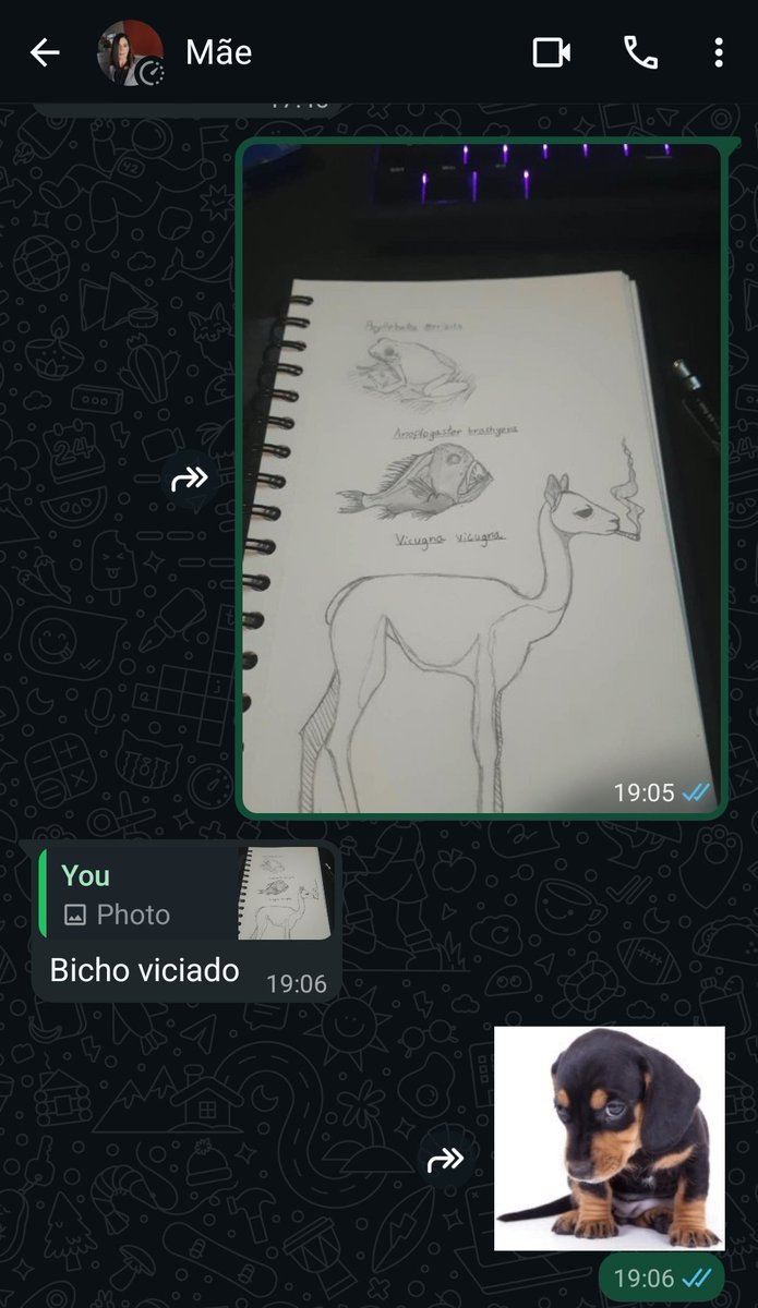 Kalliopekkjk's tweet photo. Minha mãe tece os melhores comentários a respeito dos meus desenhos https://t.co/ccogurtBiX