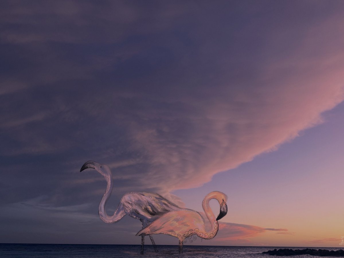firoozeh_solati's tweet photo. Clouds are amazing!! Who likes capturing the sky? 

Let's see yours clouds? ☁️ https://t.co/0aSpgvmDw2