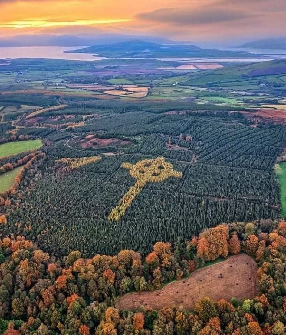 CatholicArena's tweet photo. IRELAND 

Before he died in 2010, Liam Emery planted this amazing Celtic Cross in Donegal 

By 2016, the amazing display had become visible from above https://t.co/SzyGteZyHG