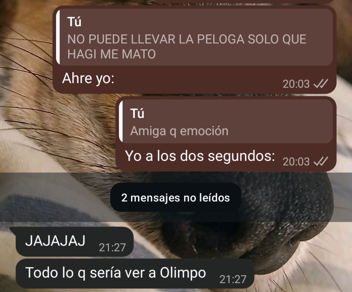 r_oci0's tweet photo. Sí https://t.co/qFl2VdW6Sc