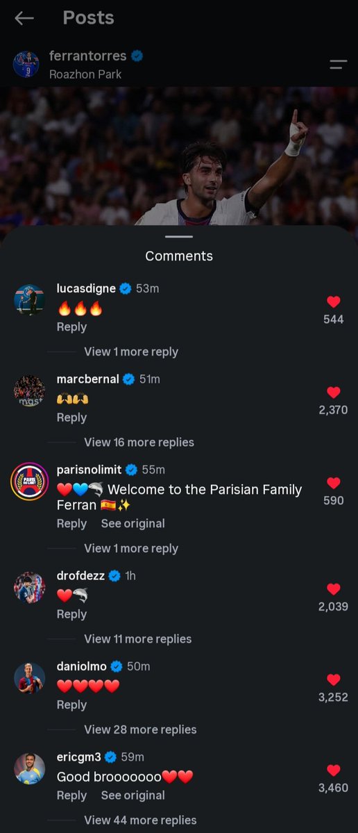 brautsummer's tweet photo. some of ferran's current and former teammates, as well as the psg news page (dro, eric, paris no limit, digne, bernal, and dani), have liked and commented on his debut post. i'm emotional ❤️‍🩹 https://t.co/2EYzWUPVZx
