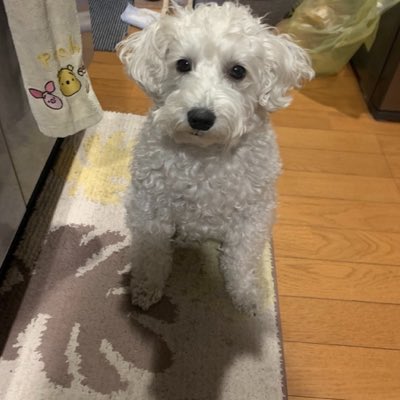 Su_pe1's tweet photo. #新しいプロフィール画像 https://t.co/tZv6xK8ZQj