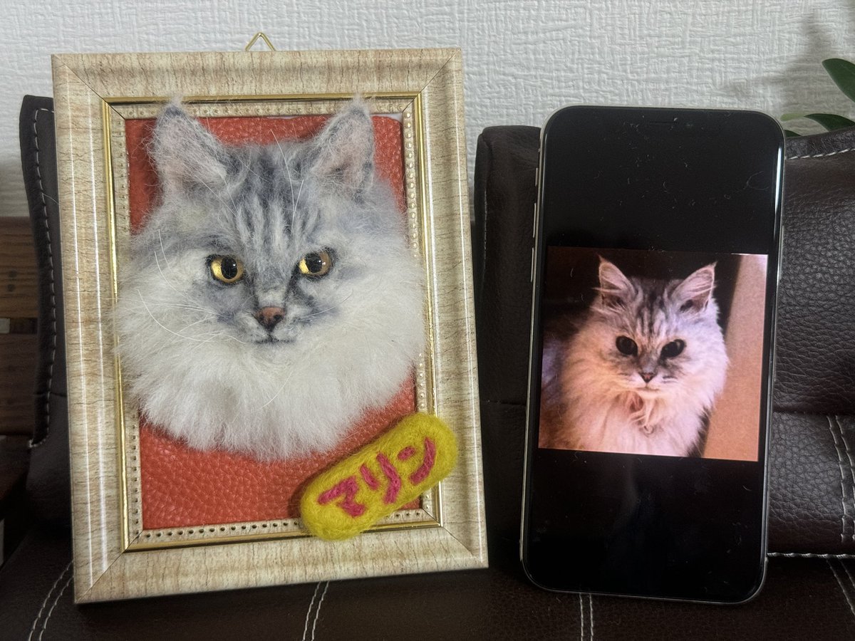 watawata_pets's tweet photo. わたわたペットが　心を込めて手作りする
あなたのペットちゃんの
　うちの子プレート　プレゼント企画

以下の方法で応募してね
応募期間　今〜８月２７日
ライブ抽選　８月30日
①フォロー
②いいね
③リポスト
④モデルさんのお顔
⑤#わたわたペット　とコメントしてね

🫶付き番号をおしらせ
↓ https://t.co/PrYAPxib64