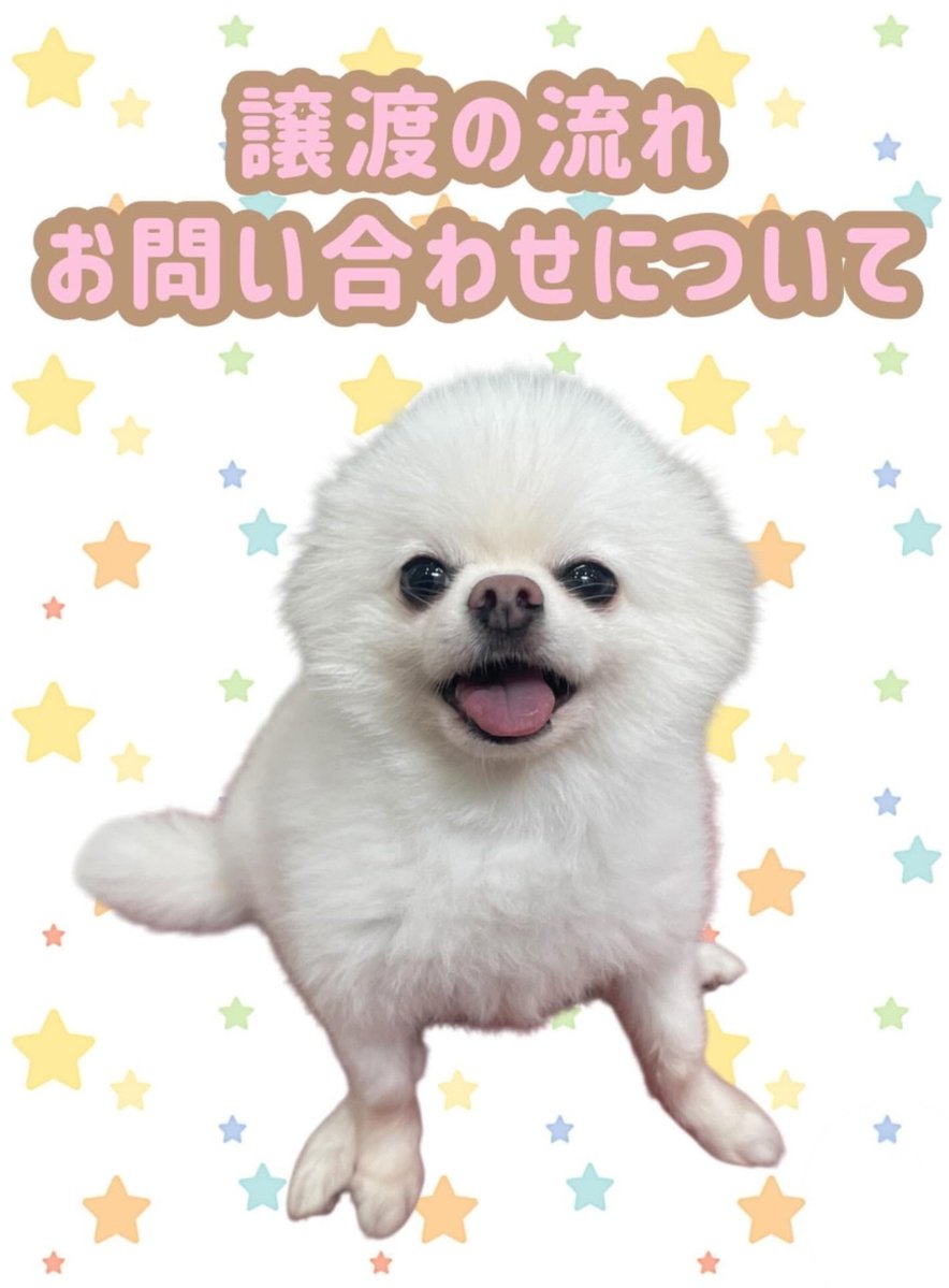 drop1021's tweet photo. 犬山動物総合医療センターでは、
ハンディキャップを抱えているワンちゃんネコちゃん達を保護して治療を行い、その命を健やかに全うするために新しい家族との出会いをお手伝いしています。そんな想いを共有する動物病院と『TeamBOWWOW』としてチームを組み活動しています。
#TeamBOWWOW https://t.co/l7aNMjw9jr