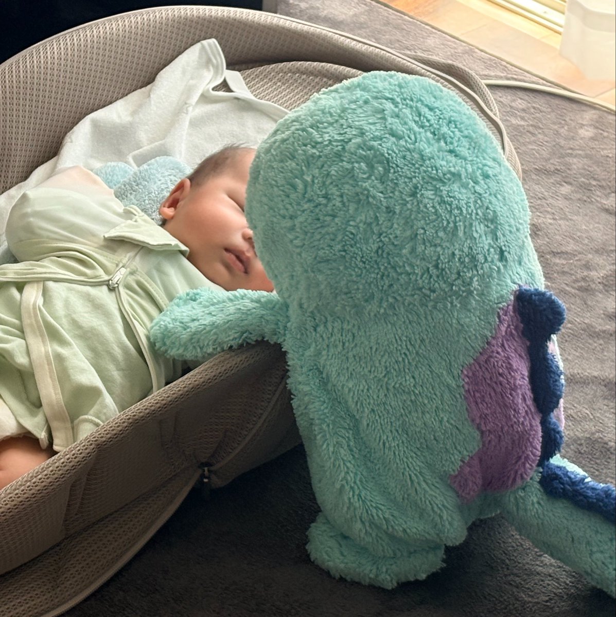 chauk26's tweet photo. よく寝てるだぬなー！

(トリミングと文章を散々間違えて3度目の投稿) https://t.co/tN7kveeCV6