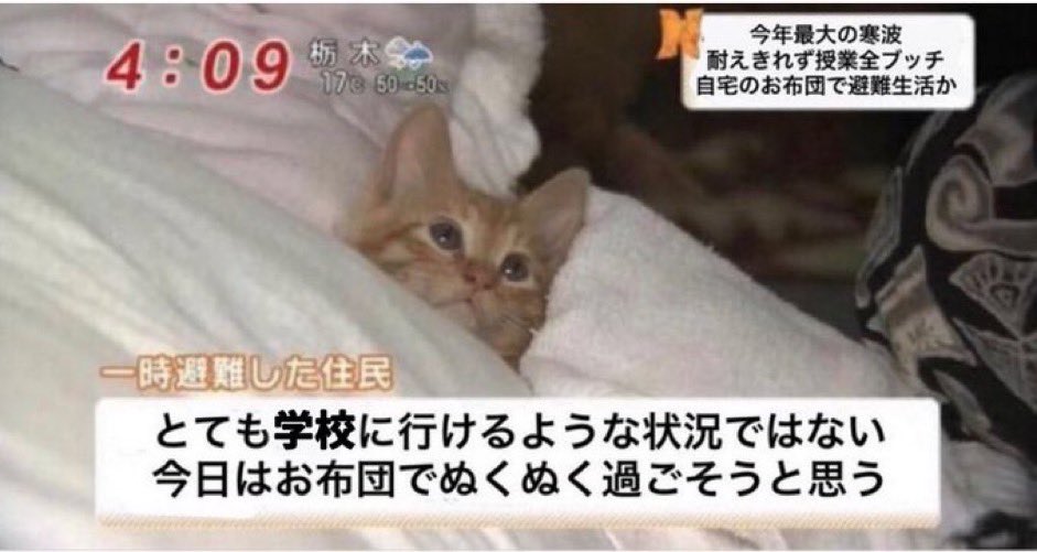 pome_o515's tweet photo. 今これで最悪 https://t.co/aVN7SbuKwa