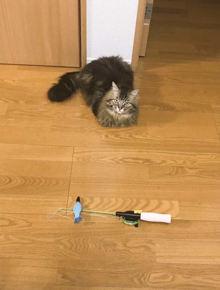 gblknk0331's tweet photo. お誘いがかわいすぎてママ涙出ちゃった😢💓💓 https://t.co/q05Ig2yclf