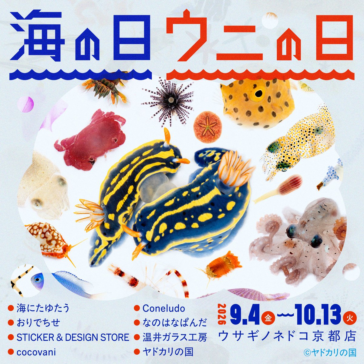 UsaginonedokoPR's tweet photo. 【ミセ】
2026年9月4日(金)～10月13日(火)に
ウサギノネドコ京都店にて「海の日 ウニの日」を開催いたします。

海の生き物を、暮らしのそばに。
貝殻やシーグラス、海の生き物をモチーフにしたアクセサリーや雑貨、ガラス作品など海の魅力を様々なかたちで楽しめる作品が集まります。

同じ「海」をテーマにしていても、作家さんによってその表現は様々です。
標本として眺める海、身につける海、暮らしの中で楽しむ海をぜひ店頭でご覧ください。

皆さまのご来店を、心よりお待ちしております。
———————————————
「海の日　ウニの日」開催概要
———————————————
■参加者
海にたゆたう(@Ishikohandmade)
おりでちせ(@oridechise)
STICKER＆DESIGN STORE
cocovani(@cocovani92)
Coneludo(@jujunoki)
なのはなぱんだ(@odekakepanda7)
温井ガラス工房(＠NukuiGlass)
ヤドカリの国(@K_theHermit)
■期間　　2026年9月4日(金)〜2026年10月13日(火)
■場所　　ウサギノネドコ京都店
■営業時間: 11:30-18:00(平日) / 11:00-18:30(土日祝)
■定休日　水・木（年末年始や商品入れ替え日等、都合によりお休みする場合は、SNSなどでお知らせします。）
———————————————