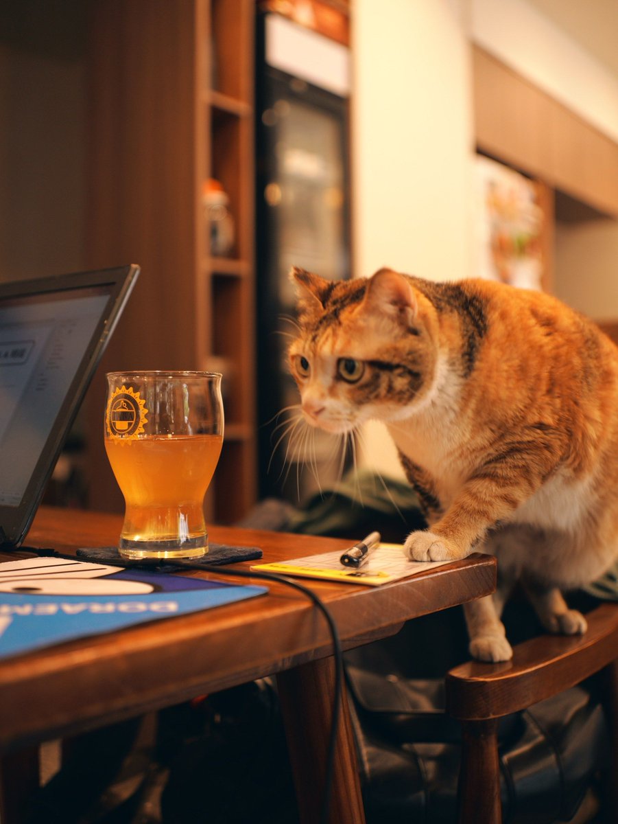 Sasitronphonyo1's tweet photo. Just spent 12 minutes of work time watching a cat chase a laser pointer. My productivity chart is doing a little happy dance right now https://t.co/Xh0YJMMexJ