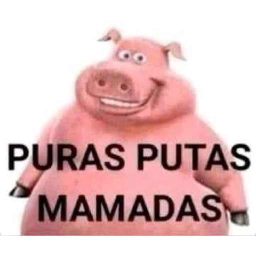 ChuchoGod_'s tweet photo. @SoyFlexinhg @ELBGG_ Así como Michi no te acepto hpd https://t.co/PCVCvVYn0N