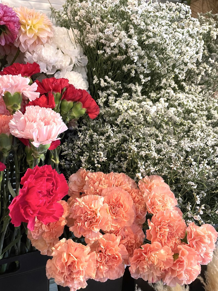 FlowerS48901380's tweet photo. お休みいただき、リフレッシュしてきました🌺今日から営業します😄
お休み中は大雨☔️だったりと天候が悪かったので大変でしたね😰本日、いろいろなお花が入荷しました🌻店内が華やかな彩りでいっぱいです✨
暑い日が続きますがお部屋にお花を飾ってみませんか？ご来店お待ちしております🌼 #花屋 #水元 https://t.co/H37vbXQRQp