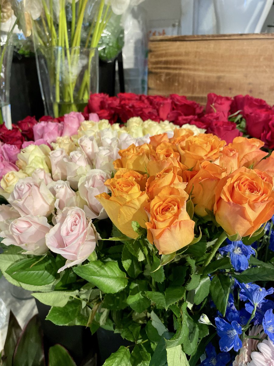 FlowerS48901380's tweet photo. お休みいただき、リフレッシュしてきました🌺今日から営業します😄
お休み中は大雨☔️だったりと天候が悪かったので大変でしたね😰本日、いろいろなお花が入荷しました🌻店内が華やかな彩りでいっぱいです✨
暑い日が続きますがお部屋にお花を飾ってみませんか？ご来店お待ちしております🌼 #花屋 #水元 https://t.co/H37vbXQRQp