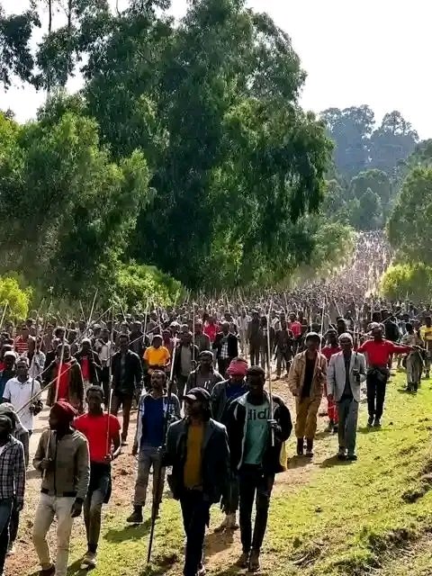 LionofJudaea's tweet photo. #StateSponsored #Genocide is taking place in #Ethiopia #Wollega conducted for all to see but no one says a thing, History will judge us all 
We used buses like these for Pilgrimage not Pillaging. 
 Even The Local #Qero are aiding #AmharaGenocide &amp; the 🌎 is silent. https://t.co/FtrMsgREAe