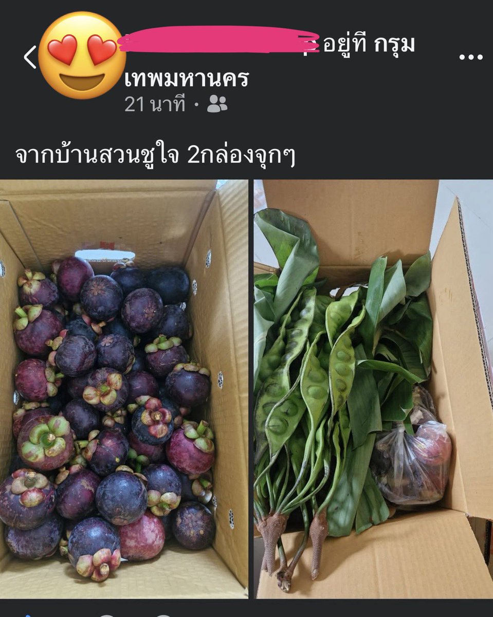 SkullPick's tweet photo. เมื่อเราขายมังคุดแต่แม่ให้ถามลูกค้าว่าสนใจสะตอด้วยมั้ย😅 ลูกค้าก็เหมาทั้งสองอย่าง จะรั่ว5555555+ #บ้านสวนชูใจ #มังคุดใต้ #นครศรีธรรมราช https://t.co/sTdjsAFkDZ