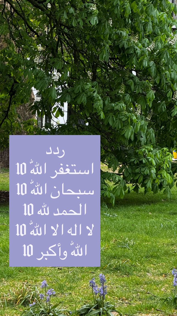 LS_Albawardi's tweet photo. كل صباح دنيا جديدة💜
#الصباح 💜 https://t.co/qmJbARPXns