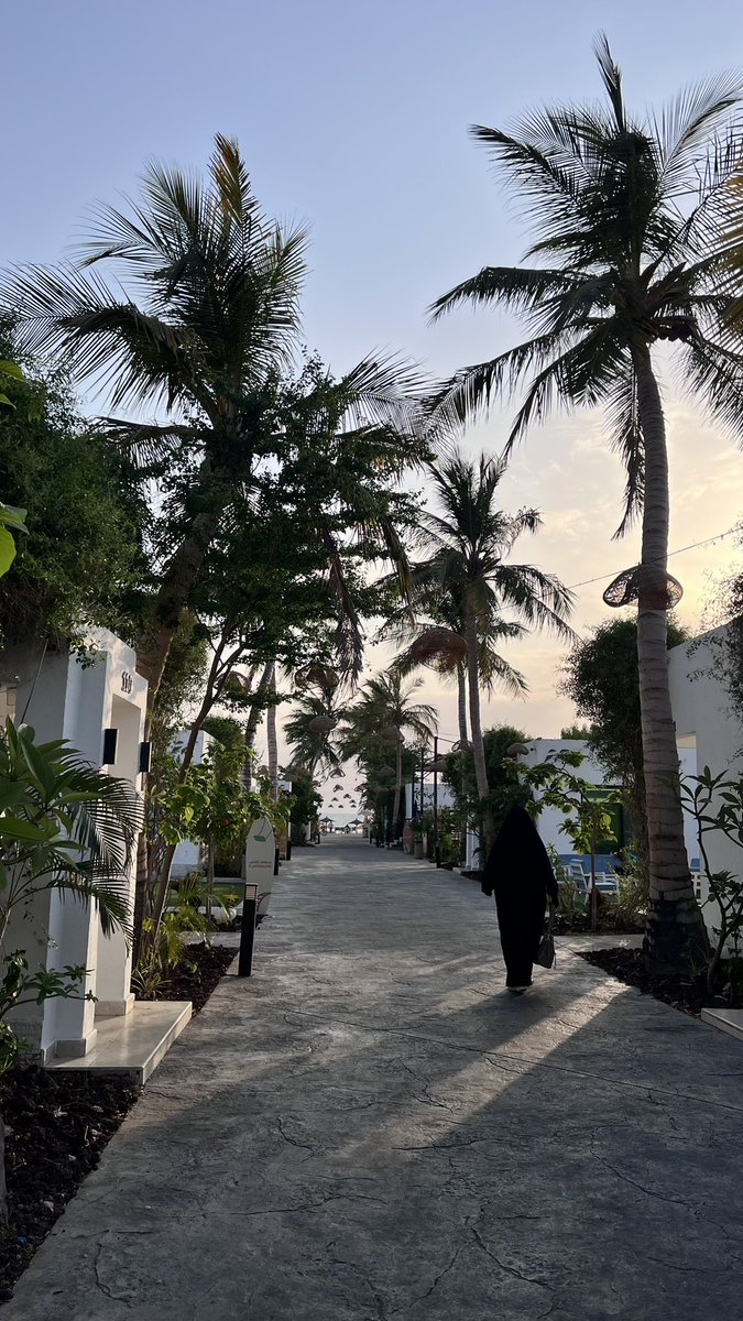 bn1ab's tweet photo. ياغـاليـه فـوق الغـلا إنتي
       🤍Mama🤍 https://t.co/YwpuBXqoIJ
