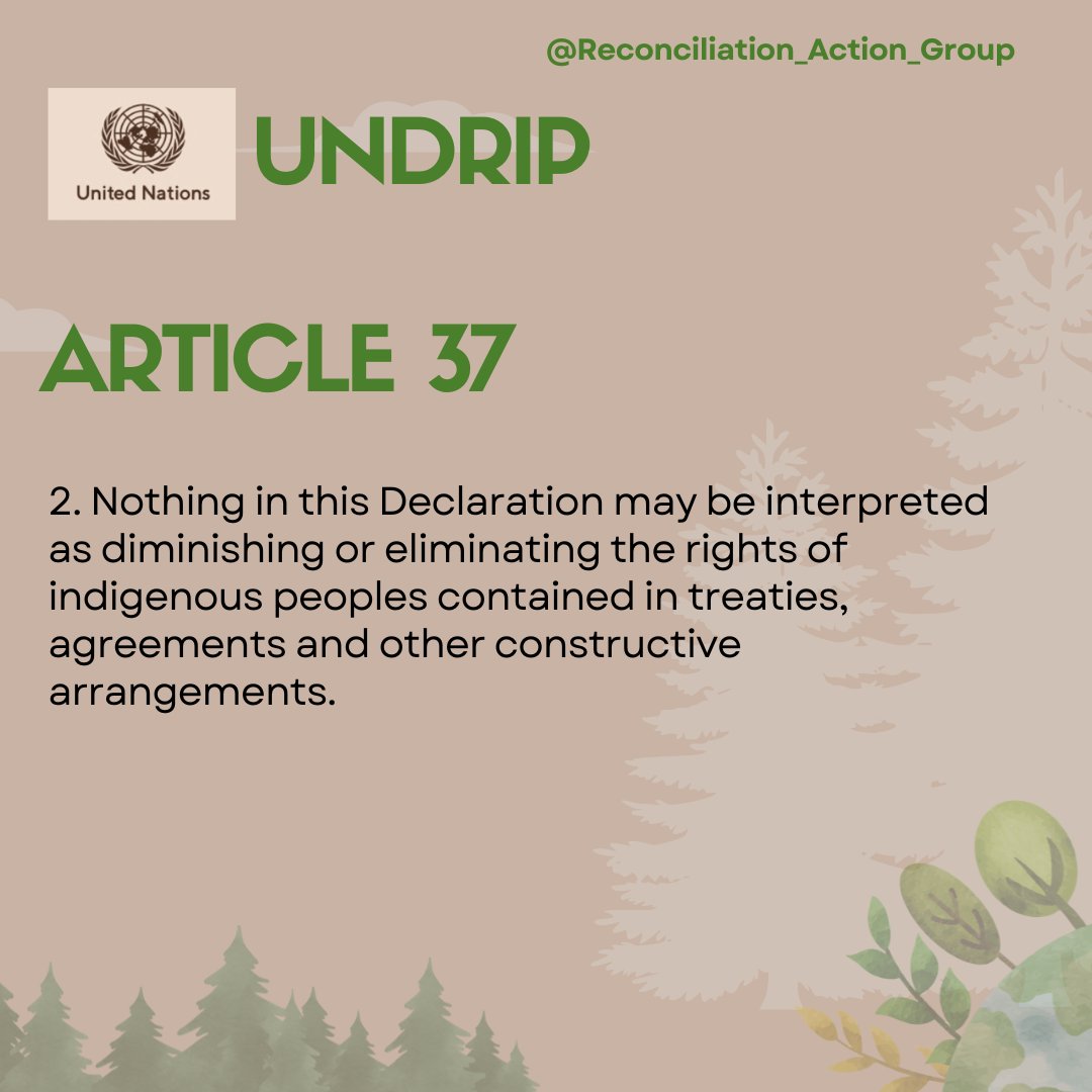 ReconciliACTgr's tweet photo. Sharing each Article from The United Nations Declaration on The Rights of Indigenous Peoples
UNDRIP Article 37
#UNDRIP #HumanRights #Indigenous #Canada https://t.co/bKjUU3reBJ