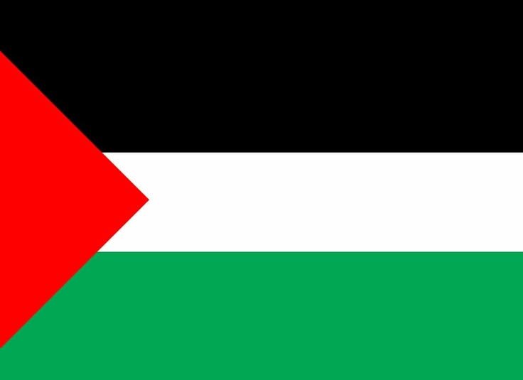 Amala_khanzay's tweet photo. This flag deserves more likes than the Israeli flag. https://t.co/Lbf2ZjC1tv