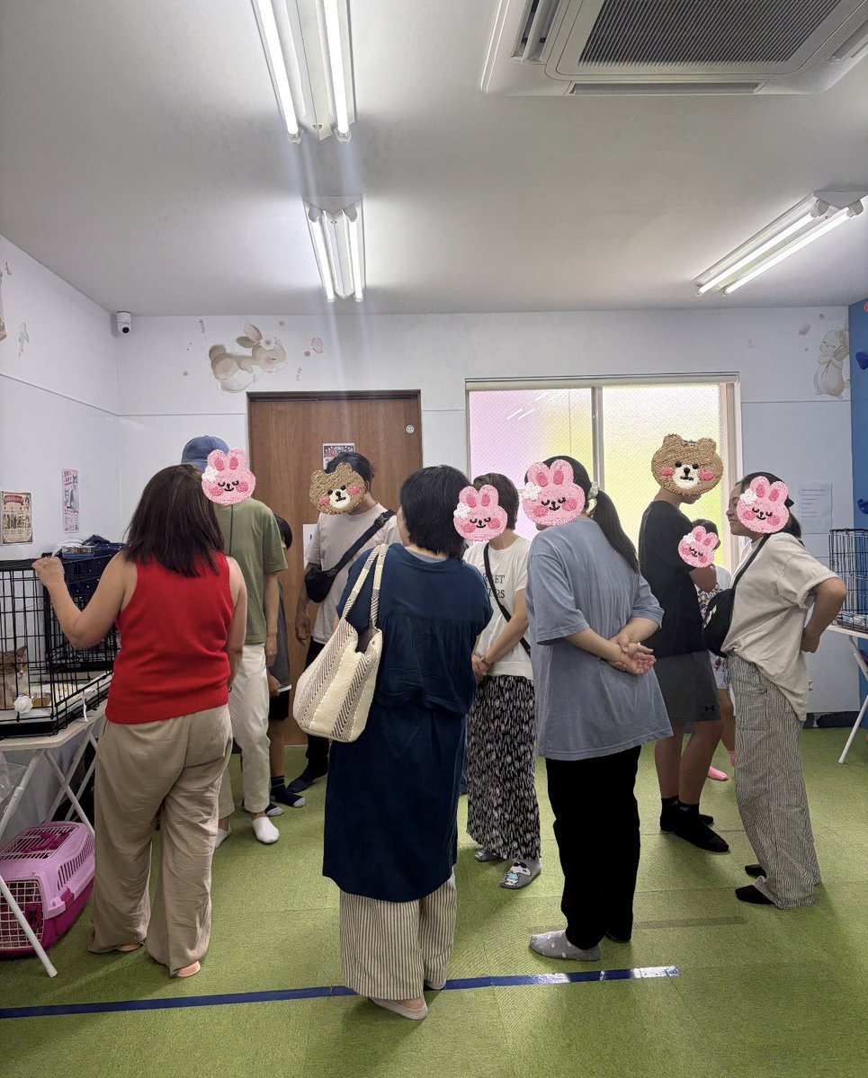 ebina_fukuneko's tweet photo. 保護猫譲渡会in綾瀬
アットホームな雰囲気の中
無事終了
福猫保護の黒猫ポーちゃんにお申し込みありました🙌
ポスター掲示，sns拡散ありがとうございました😊
沢山のご支援、人間おやつ
ありがとうございます
皆んなで分け合ました😃
次回9月27日予定です
応援よろしくお願いします

#綾瀬保護猫譲渡会 https://t.co/BrWKRcdVvG