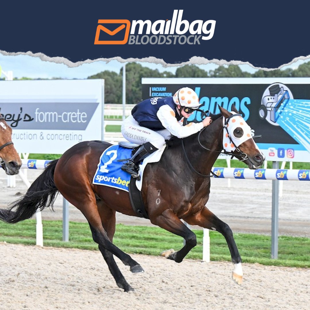 TMBBloodstock's tweet photo. #Sunsets heads to Pakenham (R9) this afternoon, looking to continue his excellent run of form. He has won two of his past three starts and finds another suitable race to add to that record. He draws a little wide but has good early speed, which should help him overcome the barrier, and Nadia Daniels is back aboard after riding him so well.

Best of luck to the ownership group! 🤝