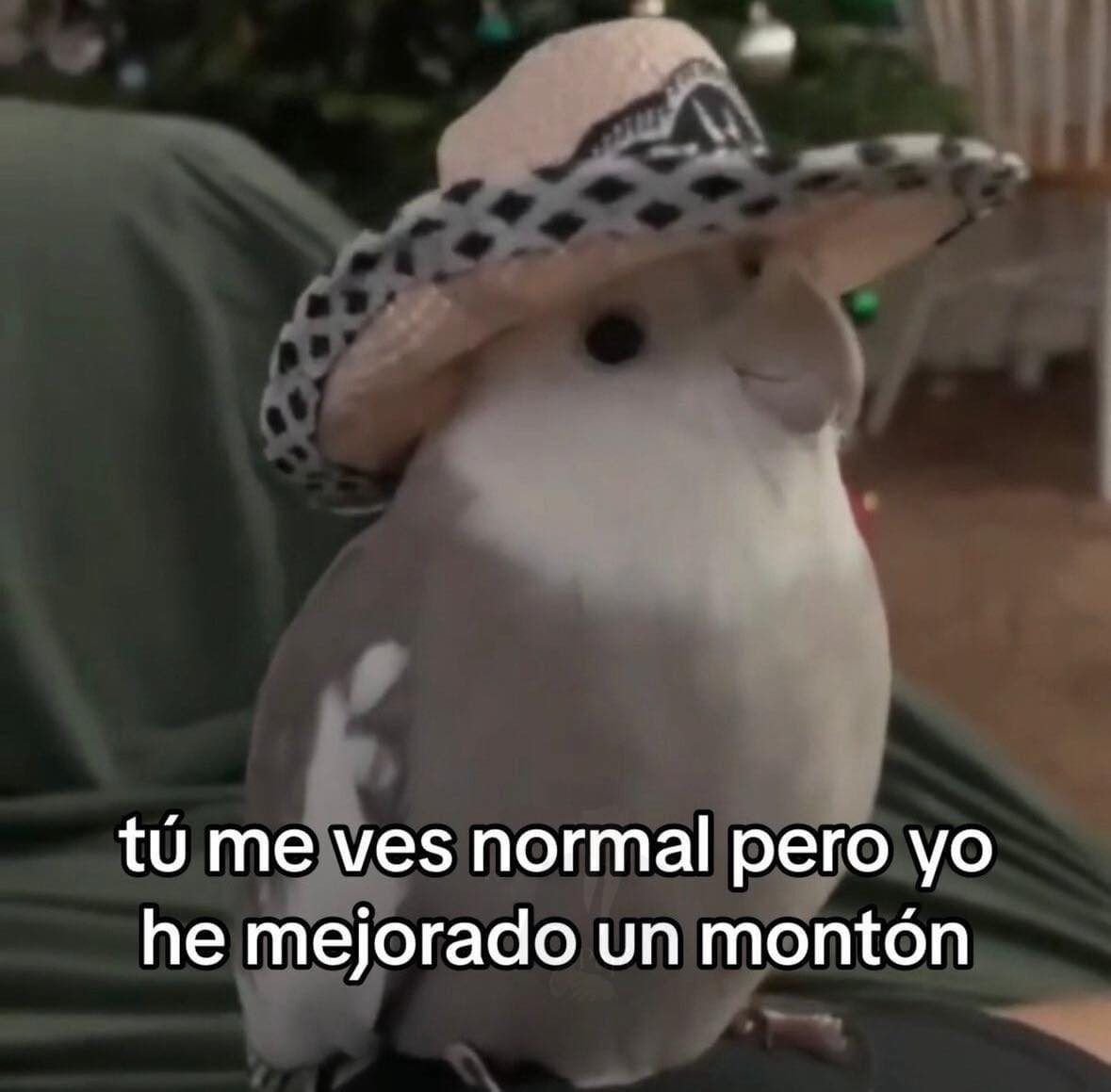 ojitos_deciervo's tweet photo. https://t.co/jTQzPMgrz1