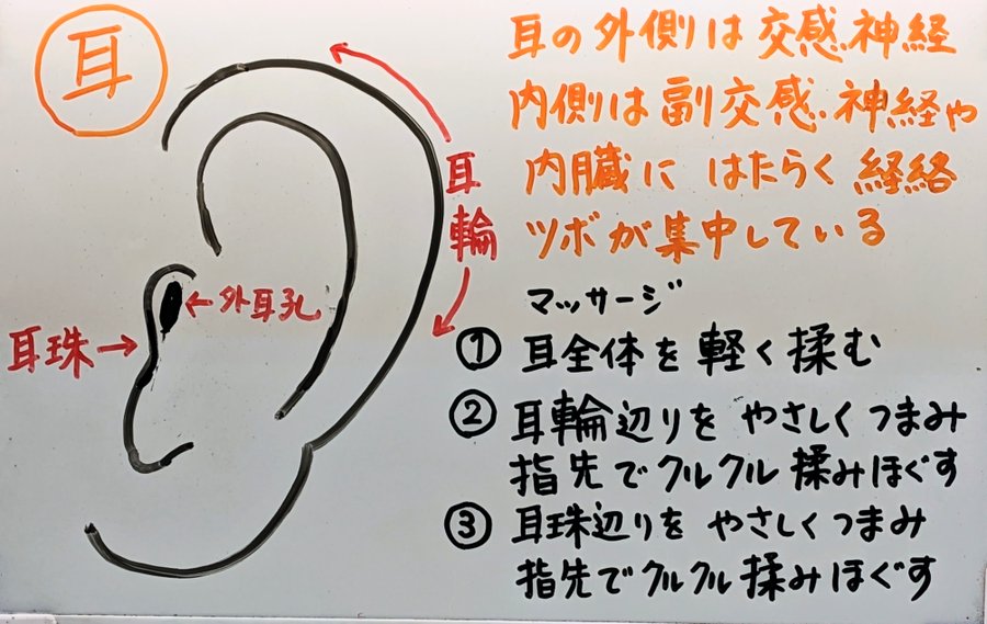 ISKRAkanpo's tweet photo. ゲリラ豪雨続く残暑で“冷房漬け”だと
気付きにくいのは“内臓の冷え”
放っておくと
重ダルイ頭痛や目眩+自律神経にも影響するから
内臓冷え⇔自律神経の乱れの悪循環へつながる可能性大😭

そして免疫力の低下を招く原因の一つにも😱
そこで手軽に出来る耳マッサージを紹介
予防にもオススメです😊 https://t.co/2FfLN4pGwz
