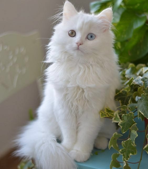 Animalswormrgh's tweet photo. https://t.co/seyazvvRQ2
