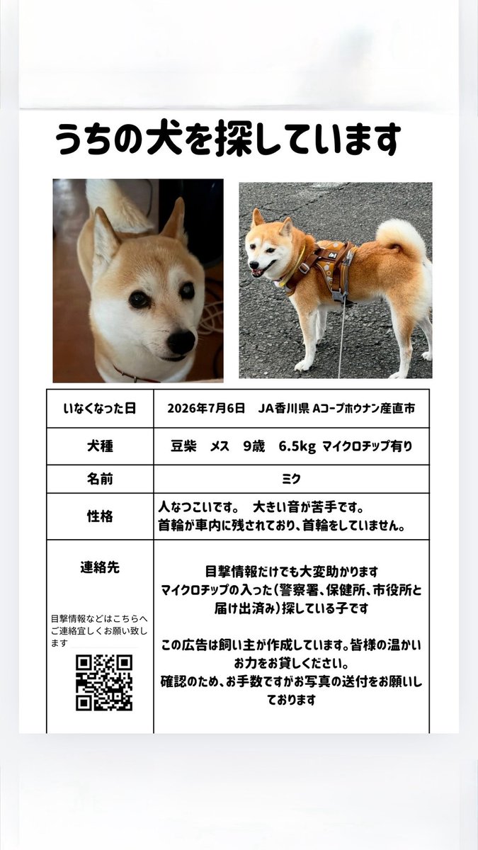 wu4gqfmiku's tweet photo. 【迷子犬　拡散希望】

7/6にJA香川県 Aコーブホウナン産直市で失踪した豆柴ミク（メス・9歳・6.5kg〕を探しています。

首輪・リードなしの裸の状態です。マイクロチップ有
些細な情報でもDM・QRコード・コメント欄にお寄せ下さい。
宜しくお願い致します。
#迷子犬 #観音寺市 #柴犬 #豆柴 #拡散希望 https://t.co/sBtlBzoKbE