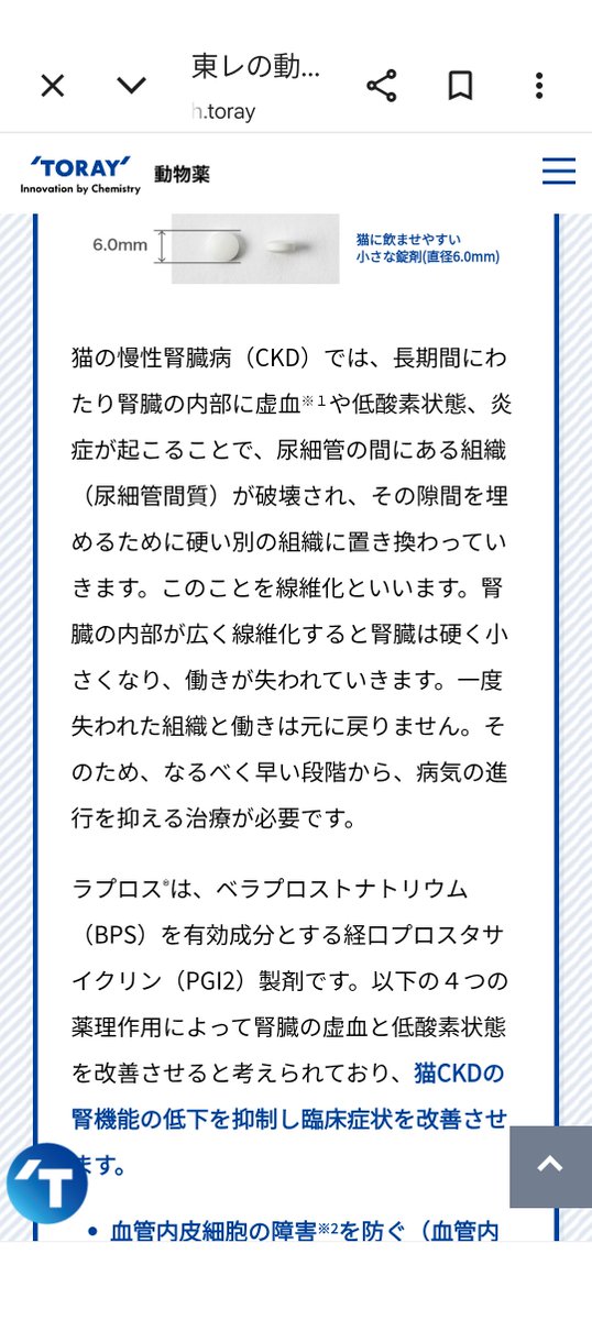nyapiness's tweet photo. ラプロスとは

#猫
#動物用医薬品 https://t.co/y4kEeW2w64