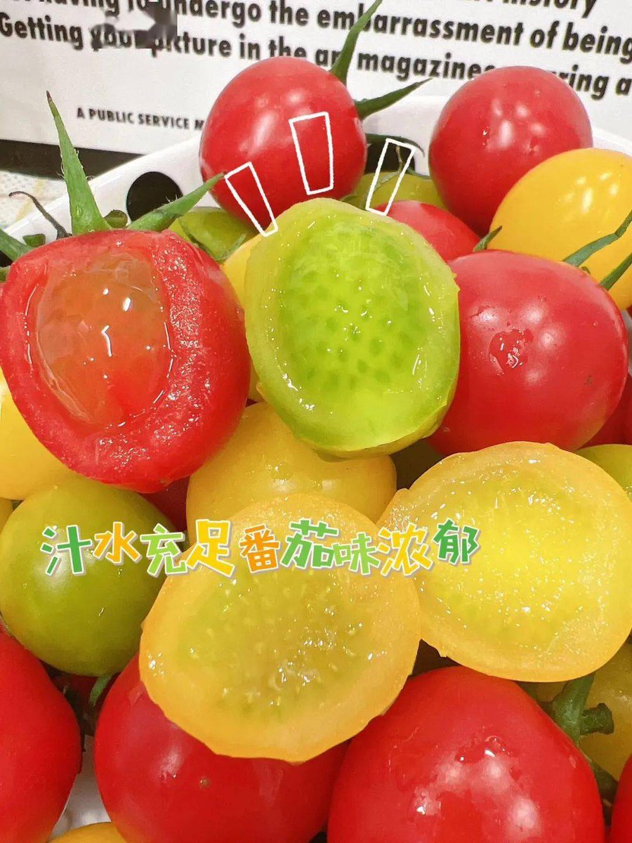 Andtyzme's tweet photo. Just tried the new organic cherry tomatoes from the local farm—super juicy, sweet, and zero watery aftertaste! Perfect for salads or snacking.  #FreshFind #LocalFood， https://t.co/InqcaW3asH