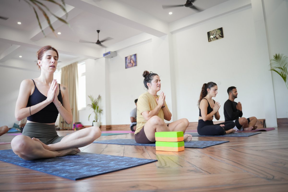 RishikeshYT's tweet photo. Ashtanga practice during our 200 Hour Yoga Teacher Training in Rishikesh 🧘

Build strength, focus &amp; confidence while learning traditional Ashtanga with experienced teachers.

Join our upcoming 200 Hour YTTC at #RishikeshYogTemple.

#YogaTeacherTraining #Rishikesh https://t.co/I8WbnC6NwR