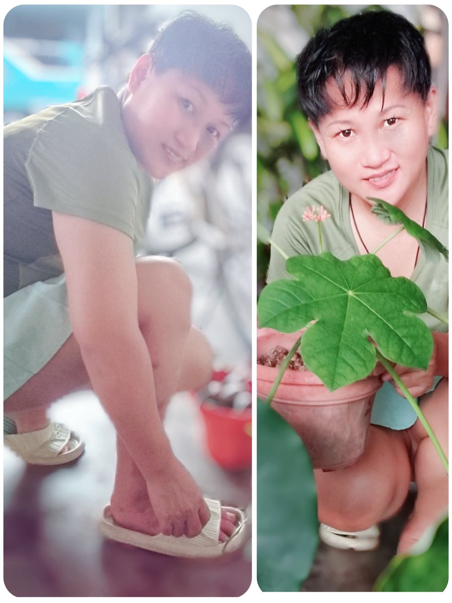 johnnyng48's tweet photo. @Littlepenis_0 https://t.co/7fPQsU9suU