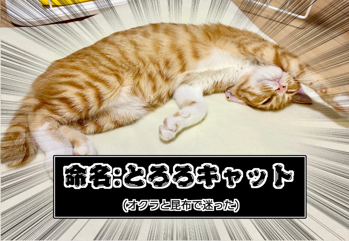 gamespark's tweet photo. 【吉田輝和の絵日記】サイレント値上げも猫カフェ化も自由！？ 自分だけの本屋を作る『Bookshop Simulator』
https://t.co/N9tpjDrKpU https://t.co/8qFA5a39tK
