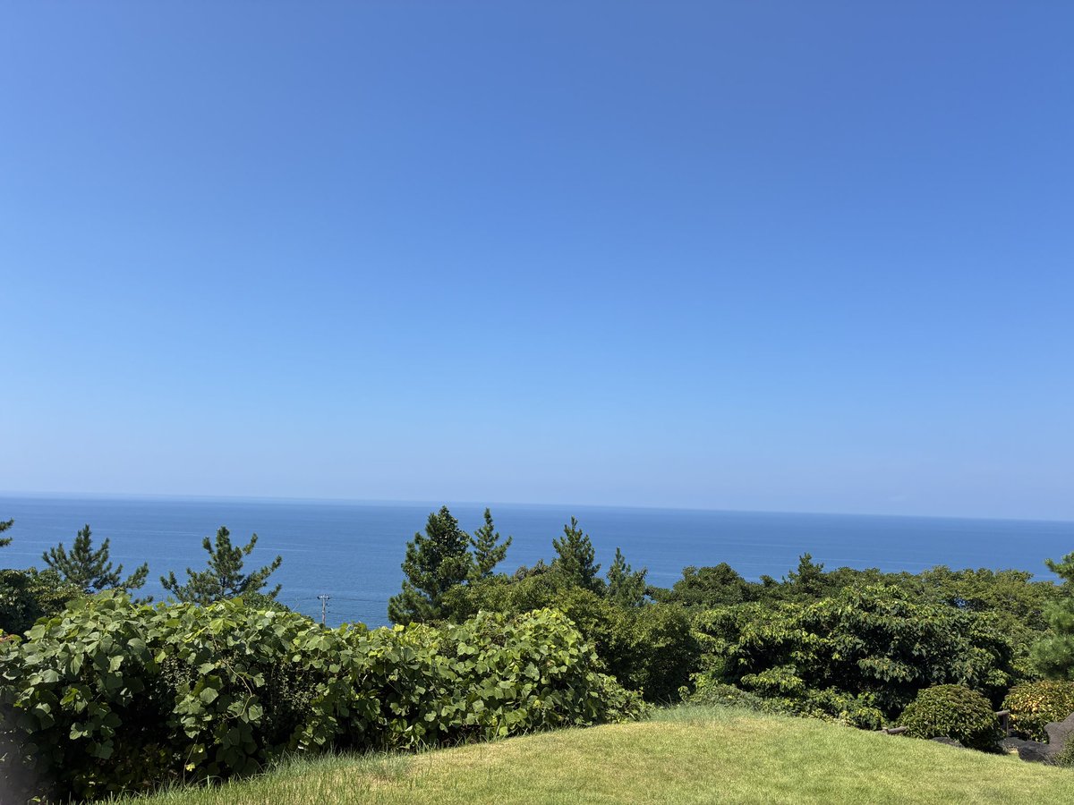 alan_zatta's tweet photo. 海だ！(山民特有のはしゃぎ) https://t.co/Bffm2WH8lG