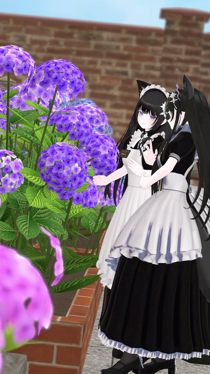 HyunChanVRC's tweet photo. ひゅんゆん姉妹をお届け💠 #セネリス https://t.co/a8LMnWyRTA