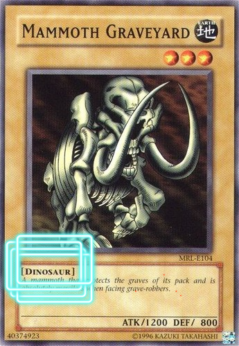 UndeadDuelist's tweet photo. mf was every type in the game except zombie https://t.co/xumyhgIm4q