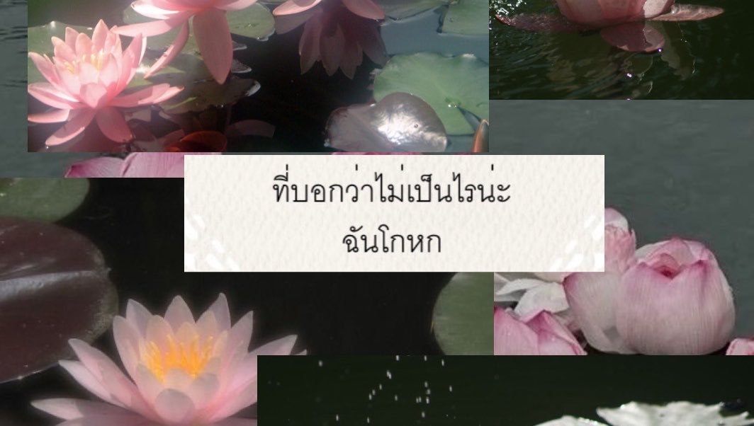 itmydefinition's tweet photo. https://t.co/BBCckp7Ivo