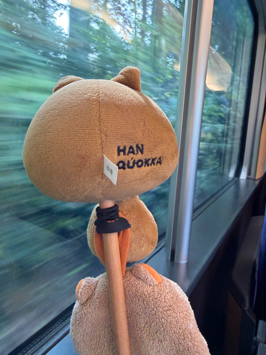 mp_one87's tweet photo. こちらも今向かってるよん🩷
🚃💨💨💨💨💨

早く会いたいぞ💕
🦊🩷🐿️ https://t.co/aeZmGdB3HE