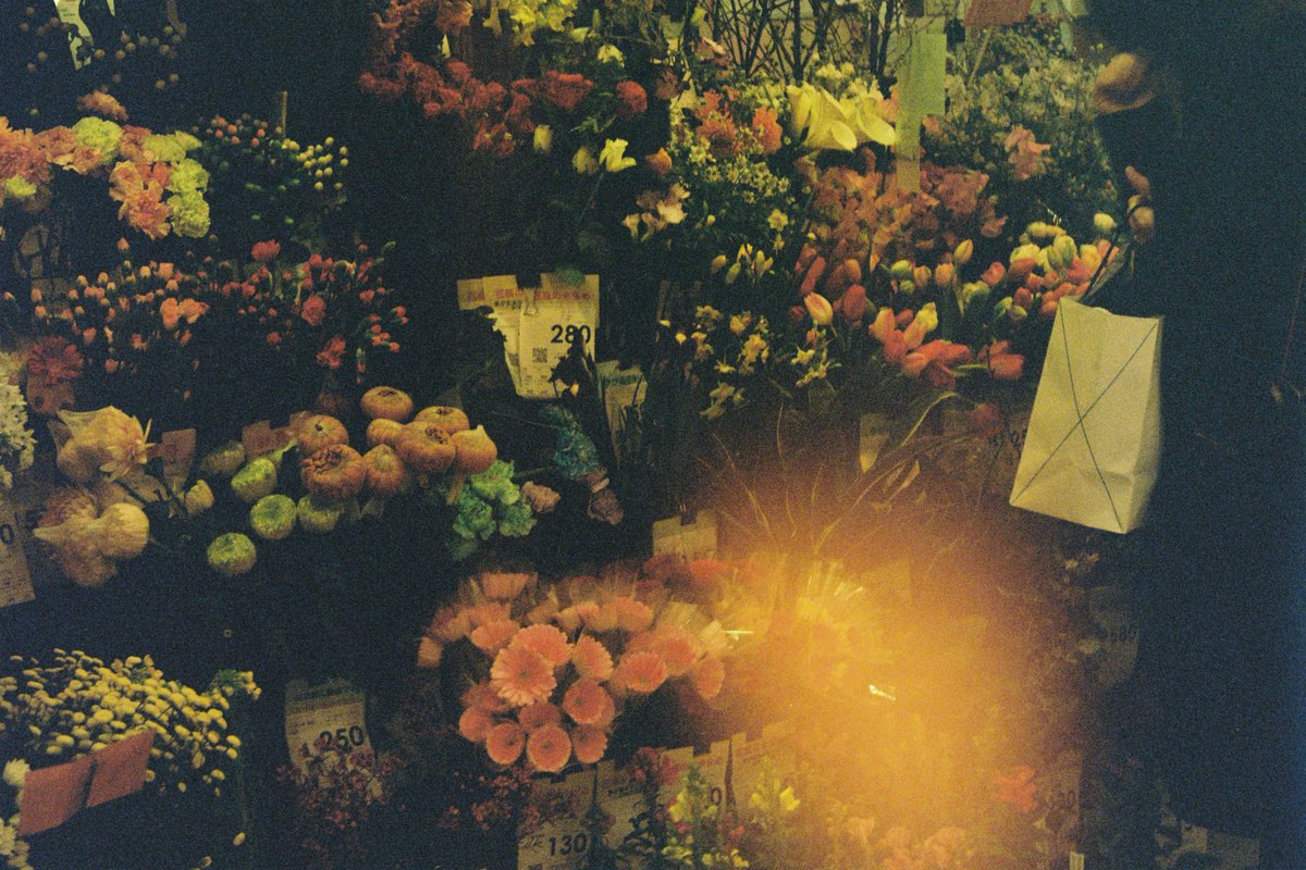 AnnabelKonogf's tweet photo. bcut also lowkey right now i'm super proud of the Sandman fic I wrote as an abstract self-insert Coping Mechanism for finding out about Neil Gaiman {may he rot for eternity}.ulmination of years and years of passion?????????? https://t.co/ZMn67yHkQF