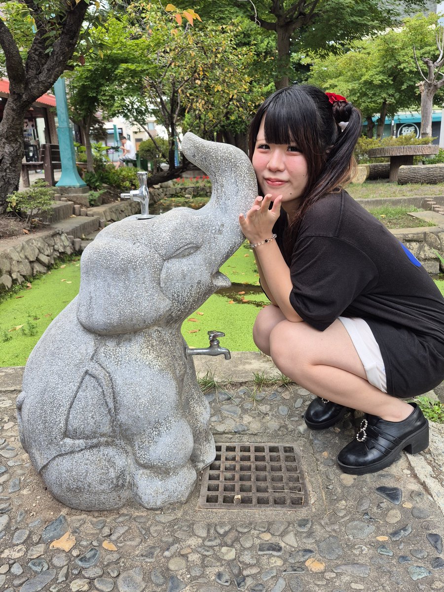 nekosuke_neko's tweet photo. アイドルとぞう🐘さん
ひまり @D_H1216 #ひま��暇じゃない
#D_CORE #水かけ祭り #花火オフ会 #物販撮影 #D_BOX https://t.co/oiaeaIDUTG