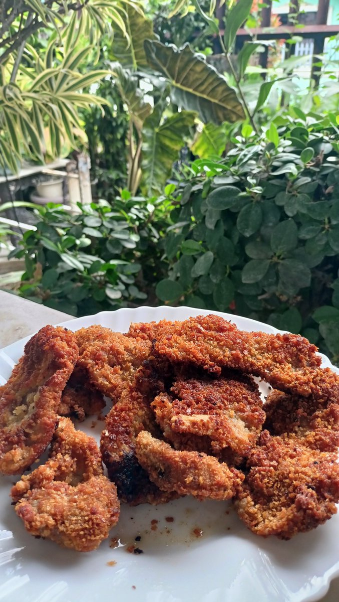 dierenpaul's tweet photo. lunch 🍽️ https://t.co/Fs0laqazvC