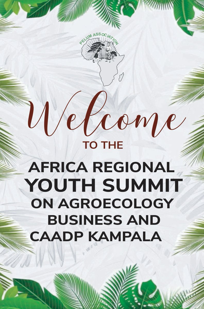 pinimMedia's tweet photo. 🌍🌱 The #AfricaRegionalYouthSummit26 is officially underway in Kampala! Young people and key stakeholders from across Africa are coming together to exchange ideas on how youth can lead the growth of agroecological enterprises and influence inclusive policy. https://t.co/UIYUk4Clrw
