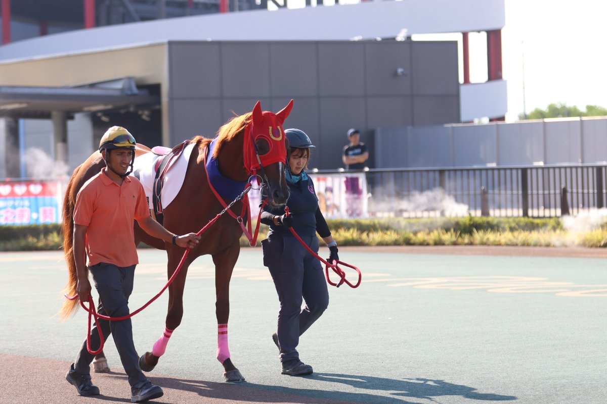 758Keiba tweet picture