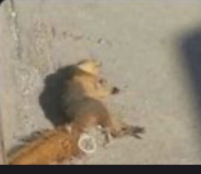 Mayhapsdude's tweet photo. @smackedtart43 Please let me know if youre single because I want to keave you like this and please wake up https://t.co/wrOQq4UBYg