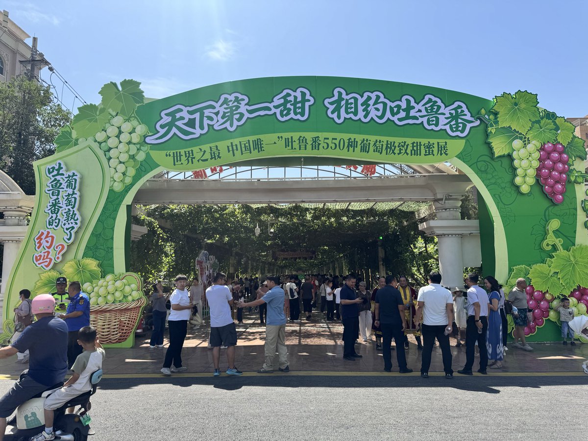 Felix_Shuai's tweet photo. 西游第一站，神遇吐鲁番 https://t.co/AM2cIIqbth