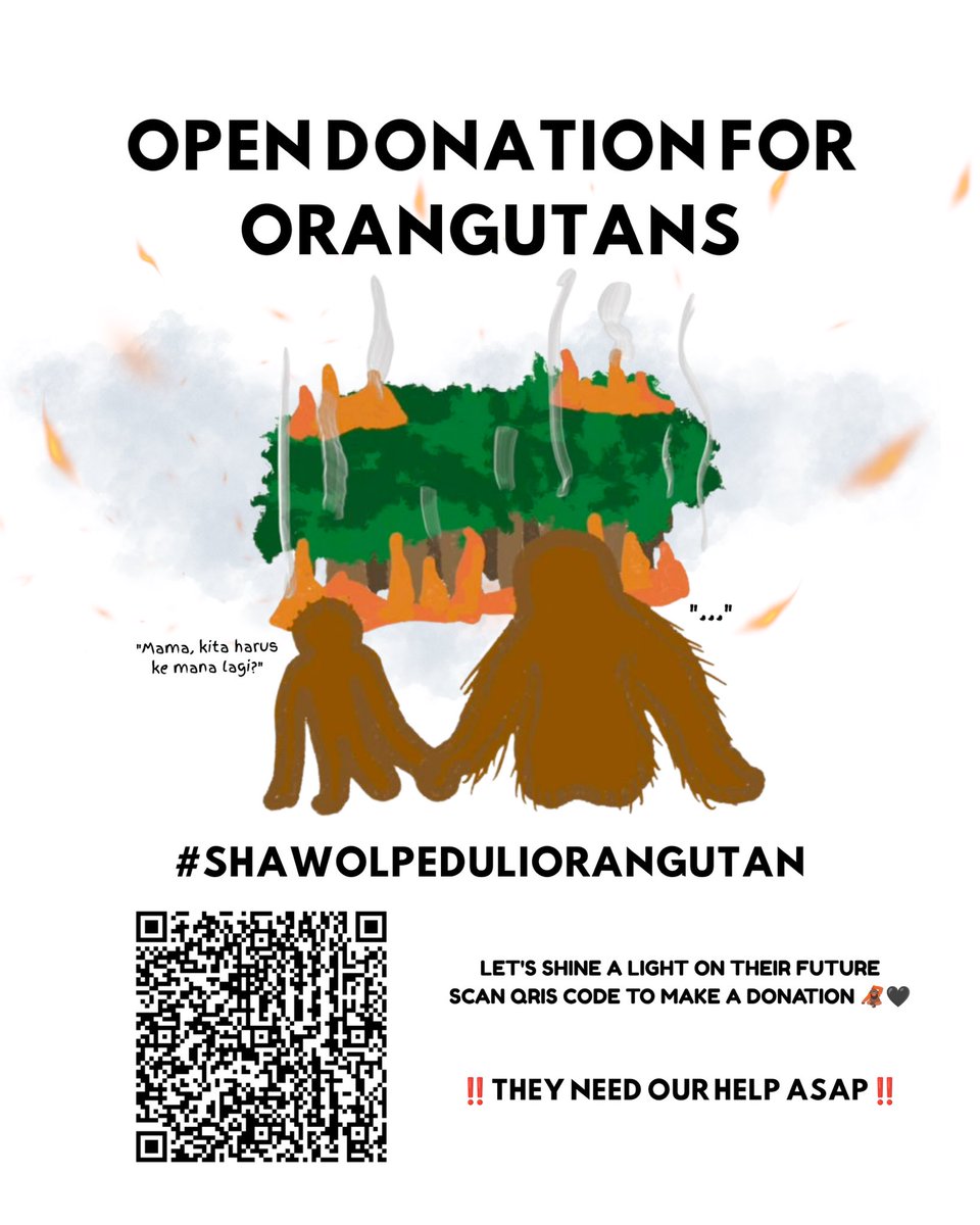 ode_to_shinee's tweet photo. OPEN DONATION FOR ORANGUTANS 🦧

We’re raising funds for orangutans affected by the recent wildfires. All donations go to @orangutan_COP.

Donations will close on August 28. Let’s shine a light on their future 🦧

DM @kentrbl_ if you’d like to help 🤍

#ShawolPeduliOrangutan https://t.co/GfM459dPOl
