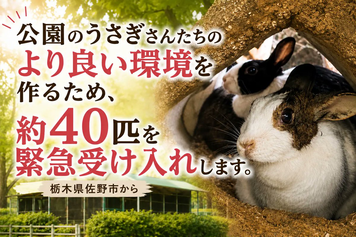 公園のうさぎさんたちを、より良い未来へ🐰】 栃木県佐野市と連携し