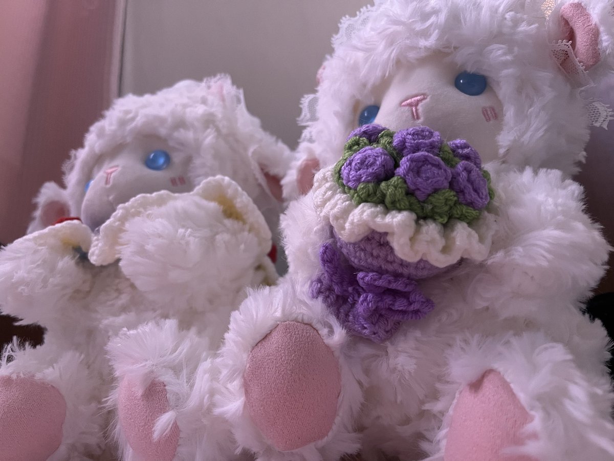 e_ri_0's tweet photo. 今日はまったりしようね〜
#ぬいぐるみ #ぬい活　#ぬい撮り https://t.co/W5ZAZuxZ6l