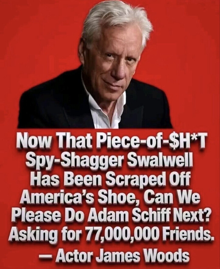 Jessies_Too's tweet photo. Wow, tell us how you really feel @realJamesWoods 😂
#ShiftySchiff https://t.co/5iVivFMpFE
