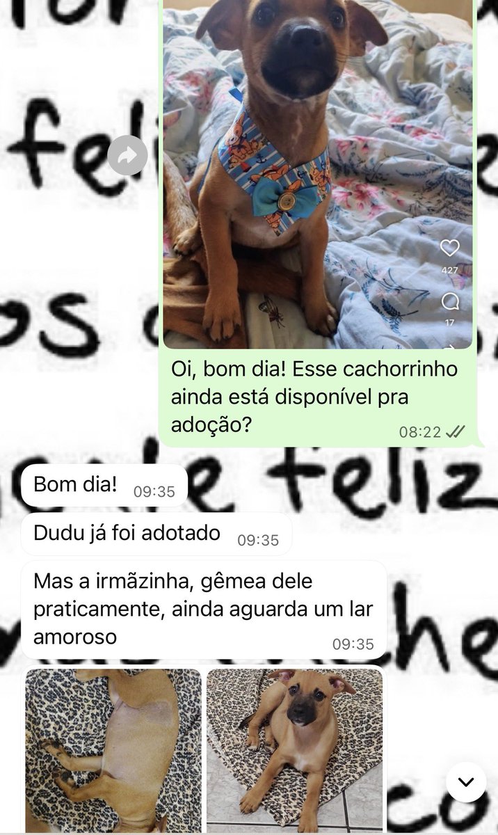 klroocha's tweet photo. Como começou // como estamos https://t.co/HicQVQ42wB